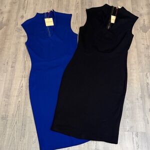 Lavish Alice Blue and Black Midi Dresses